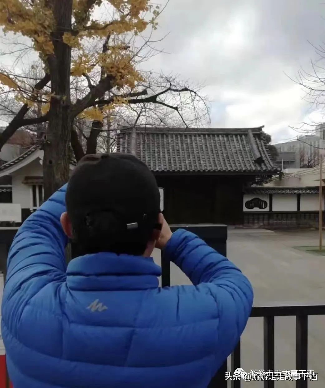 日本印象：樱花生活、排队文化、忠犬八公