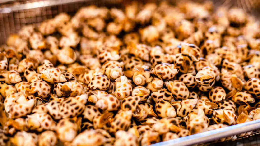 广州南沙海边度假酒店,广州南沙海滩最好的酒店