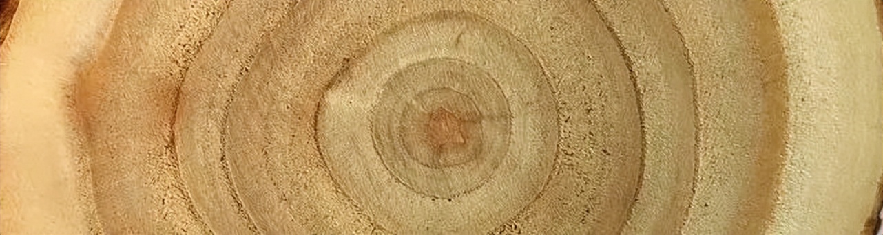 天格实木地板简约风格,大自然原木风地板推荐