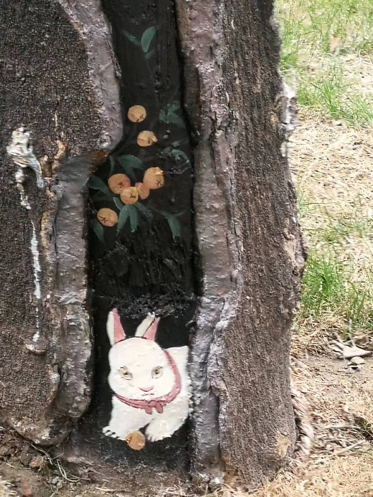 上海中山公园十大景观,上海中山公园新添8个树洞画