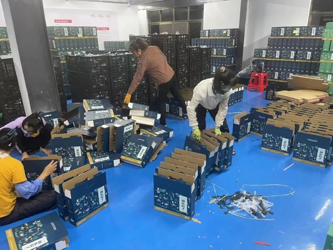 万宁和乐蟹粽子,万宁和乐粽子价格