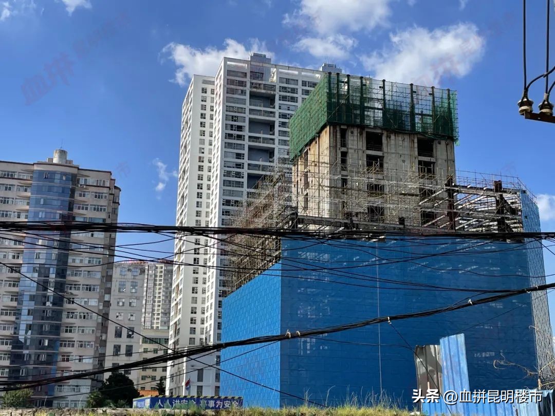 怪圈主要内容,怪圈