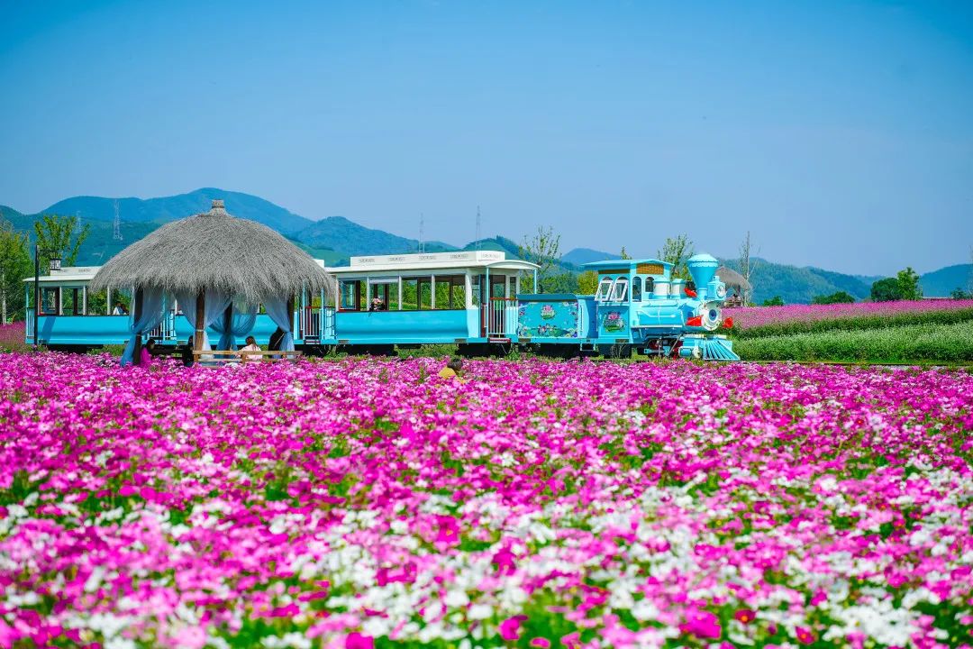 六一带孩子出游推荐,六一带孩子去哪儿玩