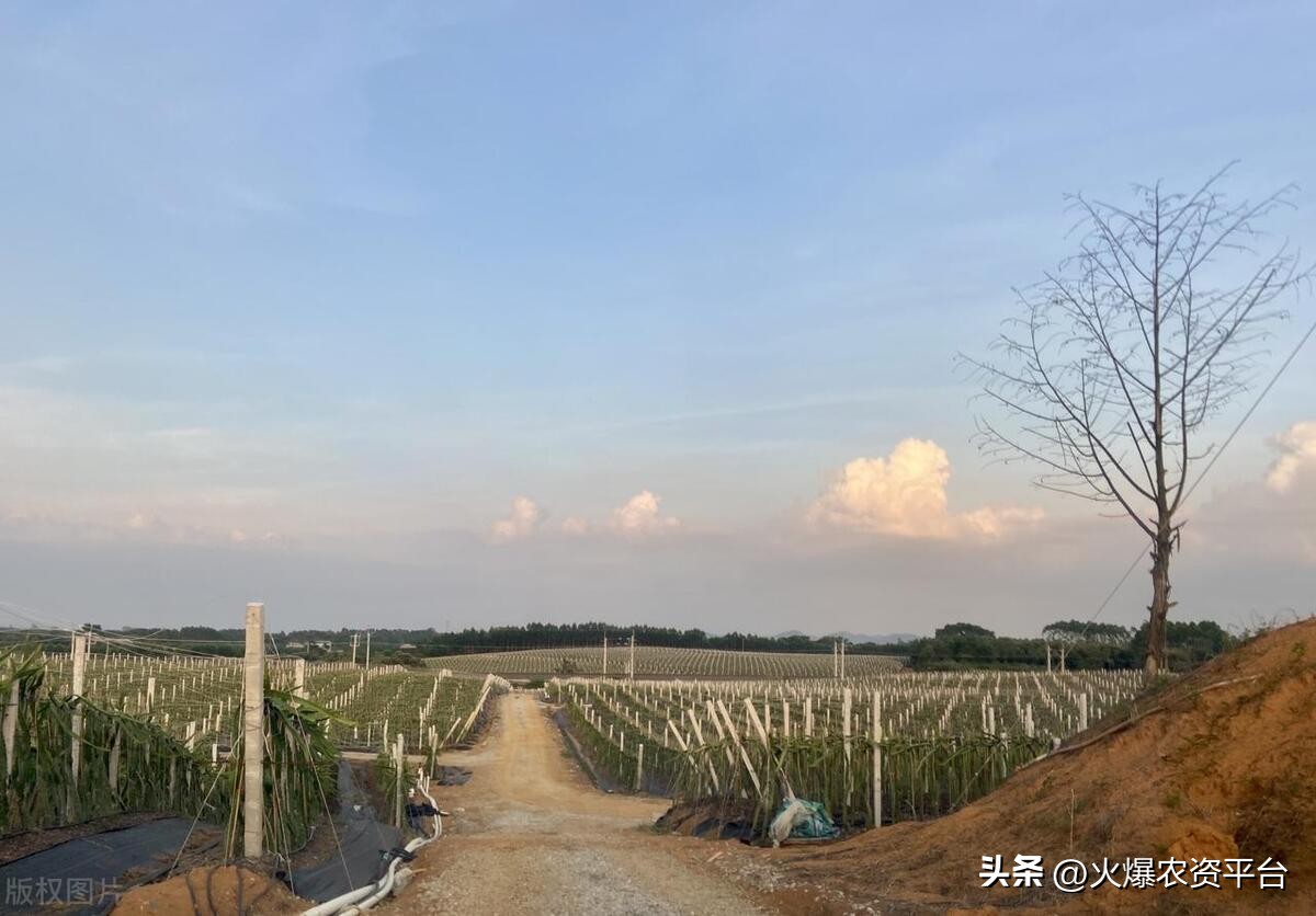 十大骗人肥料骗局,肥料忽悠团价格表