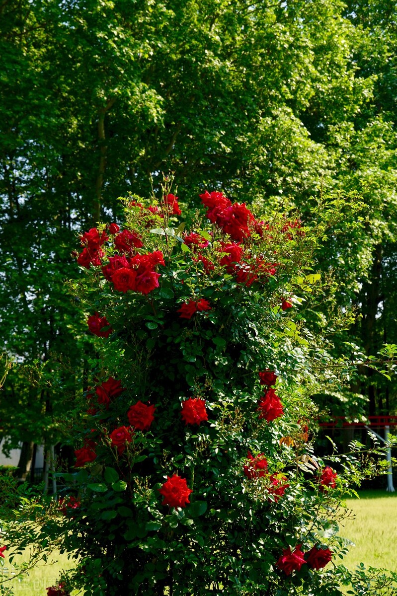 怎么办才能让自己尽快走出困境呢,如何走出逆境不与自己为敌