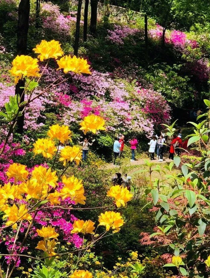 桂林雁山猫儿山,广州出发6天最适宜赏秋旅游