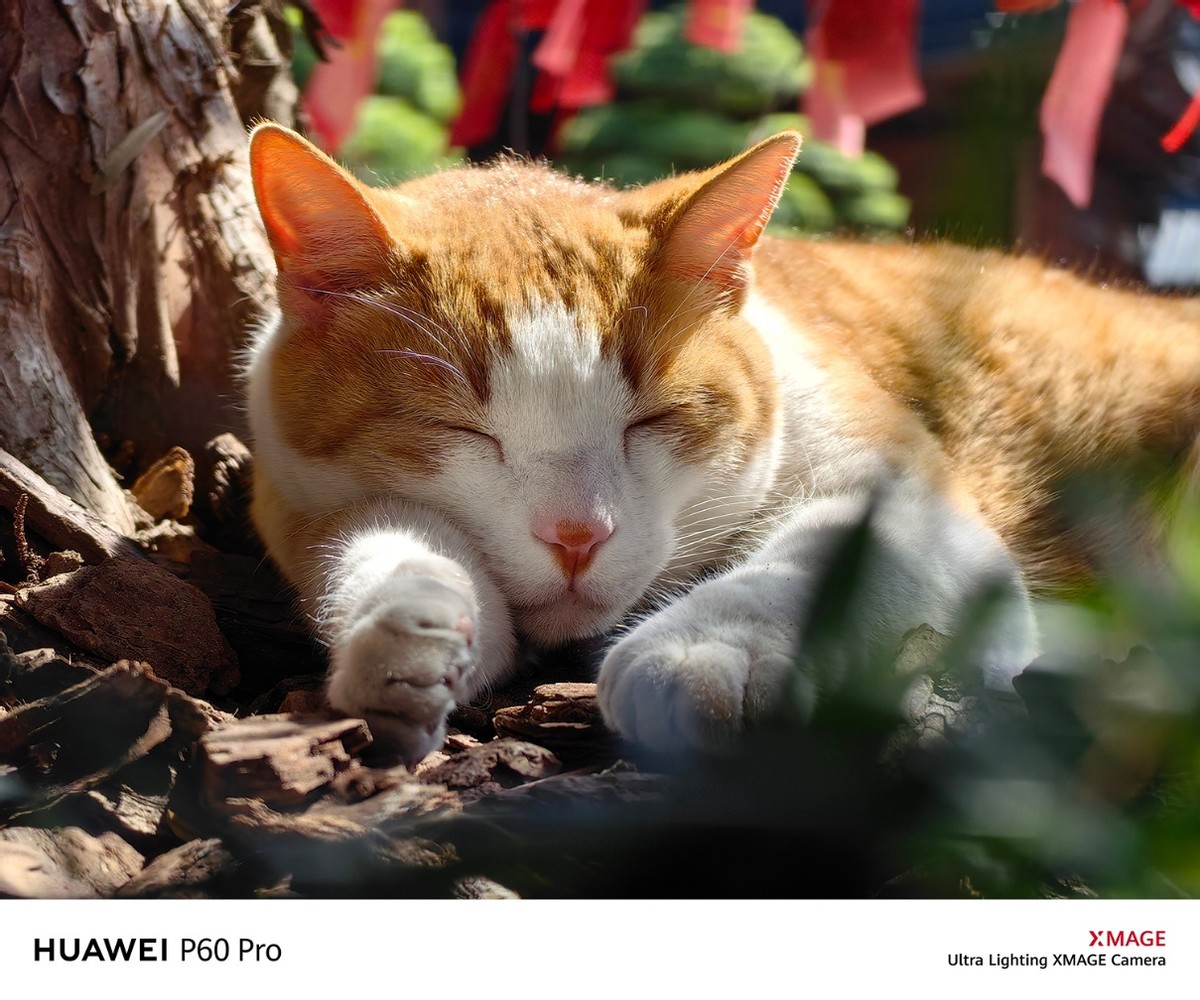 华为p60系列拍照秒杀国产旗舰,手机热销榜第一名华为p60