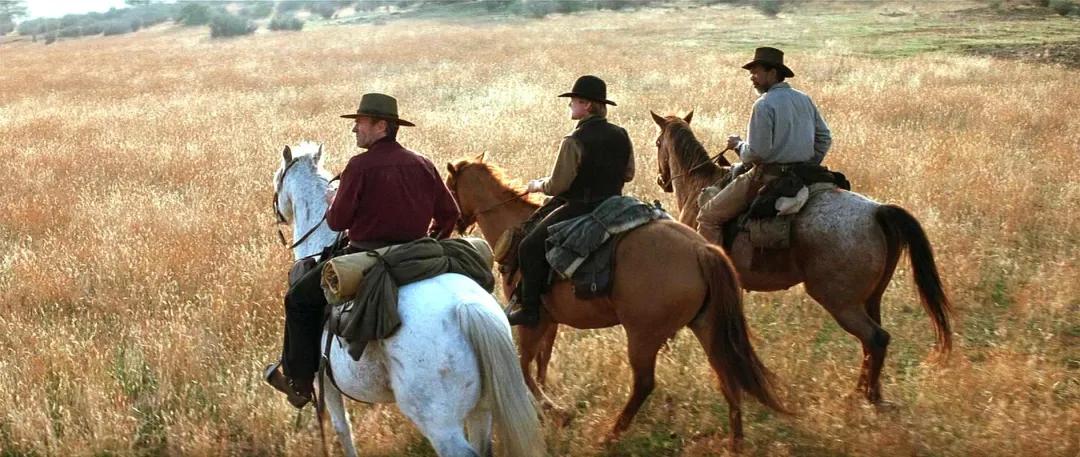 九牧王带绒男裤,九牧王在业内被称为男裤专家