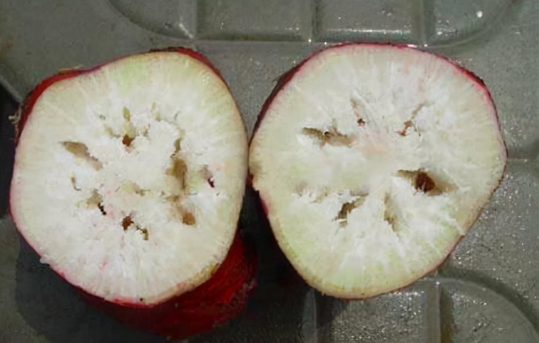 萝卜糠心的原因及解决方法,糠心的萝卜还能吃吗