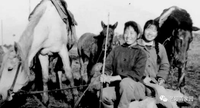 北大荒知青生活叙事诗——北大荒“游击词”100篇