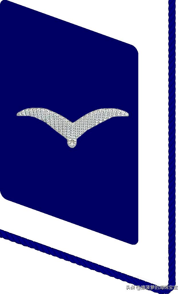 二战德国国防军医疗兵军衔标志