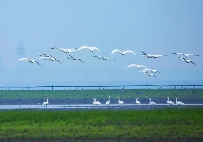 三观一致世界观,聊三观聊世界观