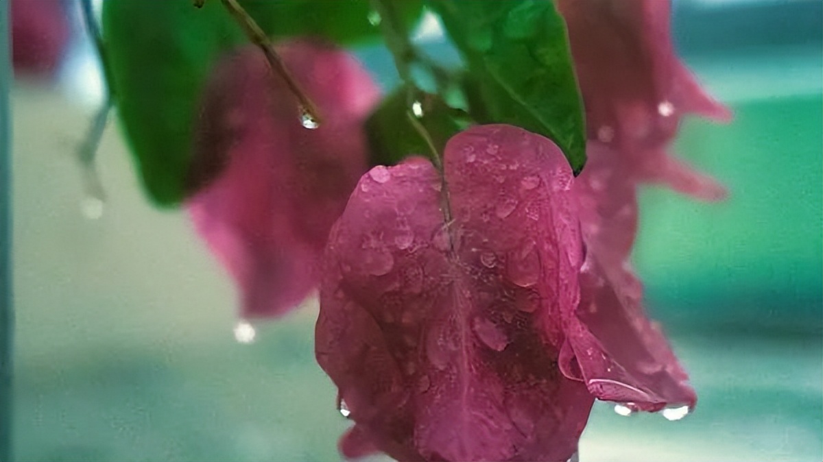 当别人不回你消息时你该怎么办,当别人不回你信息时应该怎么办