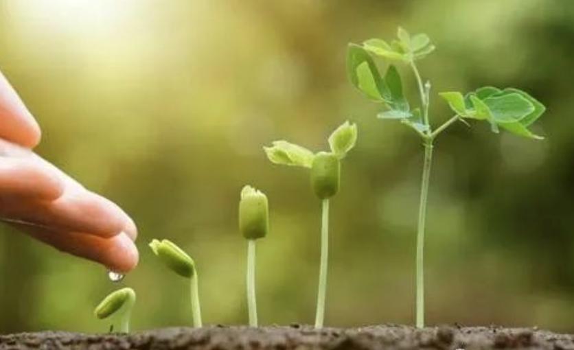 北京八维教育都有什么课程,八维教育北京学校