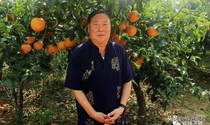 【荐读】五莲作家写的这本书，第二十八章代茶吟！