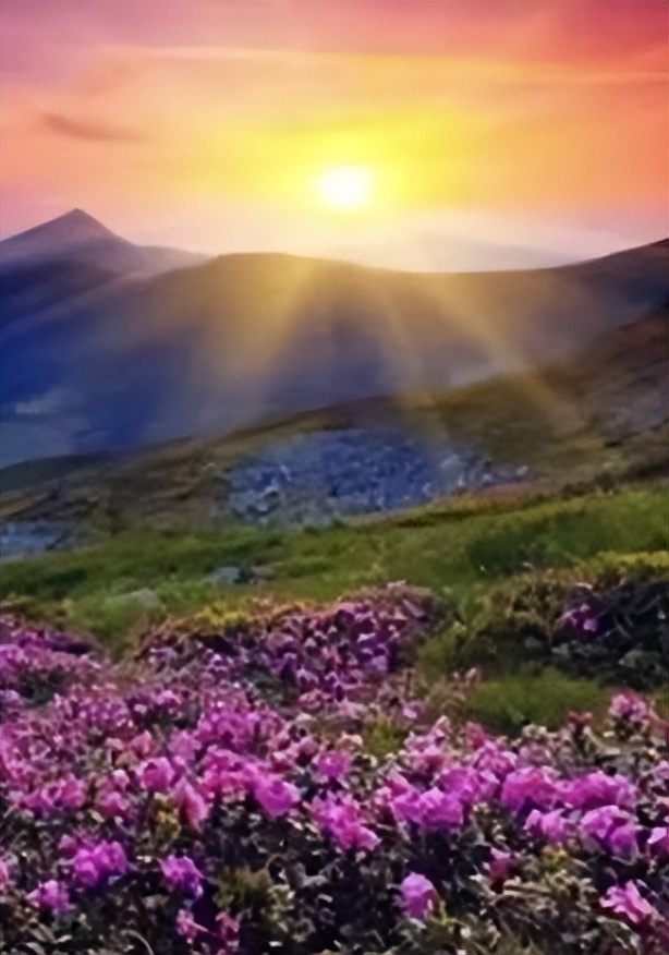 ＃“我是店长和你说”＃：长沙康多多医药代购为生活增彩