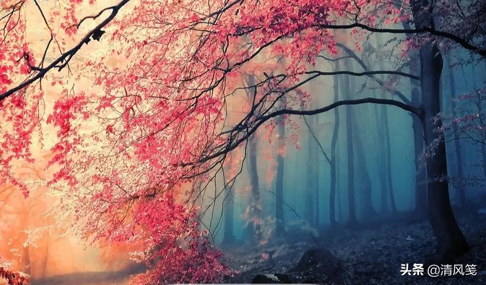 七绝书法梅花香自苦寒来,梅花香自苦寒来美景七绝