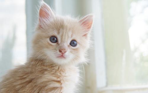 小学生考试幽默笑话短句,小明课堂幽默笑话十则