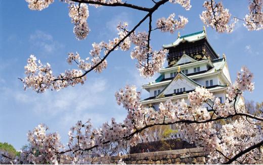 2022年日本商务签证办理需要多久,日本商务签证一般多少钱