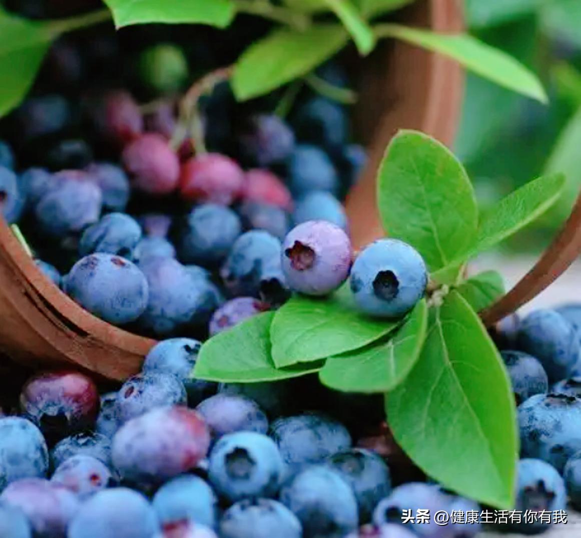 什么是血尿和尿潜血,什么是血尿是怎么回事