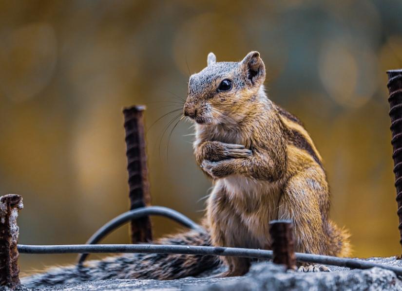 大学生花十几块钱坐飞机,大学生闲着没事买高铁商务座
