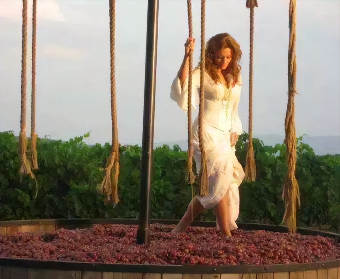 打破红酒玄学，用国人易懂的方式聊红酒篇一起源