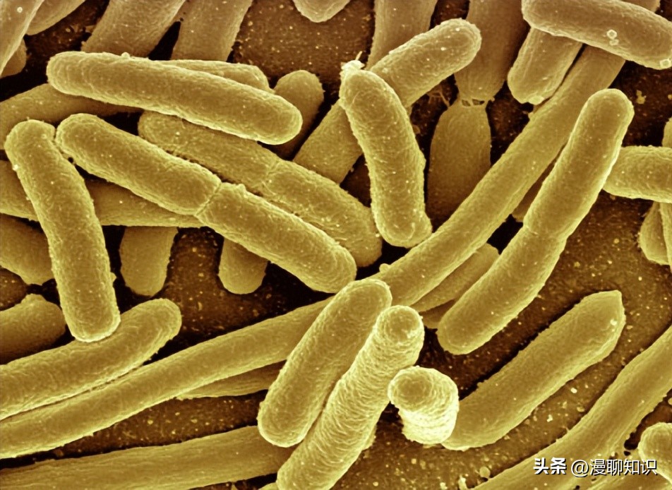 MRSA治疗新途径有哪些？关于CR-AB治疗策略有哪些