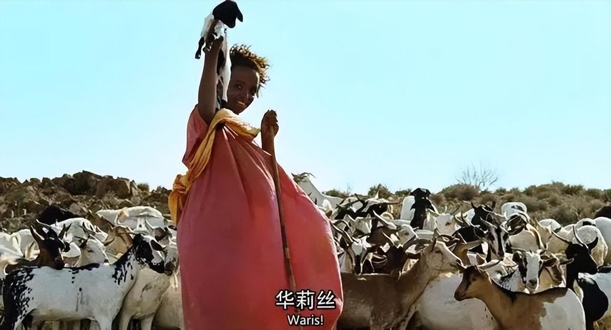 割礼比缠足更野蛮！第一位黑人超模华莉丝4岁被*暴强**，5岁惨遭割礼