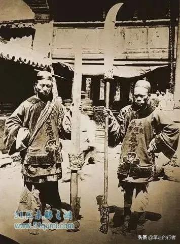 大皂角是皂荚吗,皂荚和长皂角