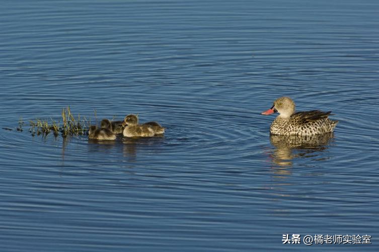 以太是什么东西存在的,以太究竟有什么作用