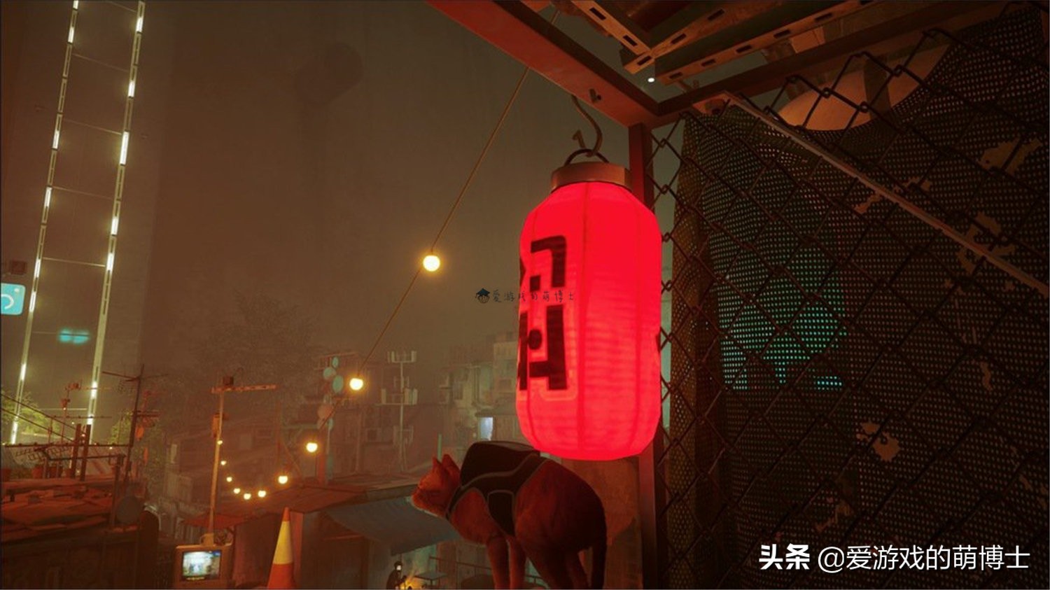 stray在steam多少钱,stray低配游戏推荐