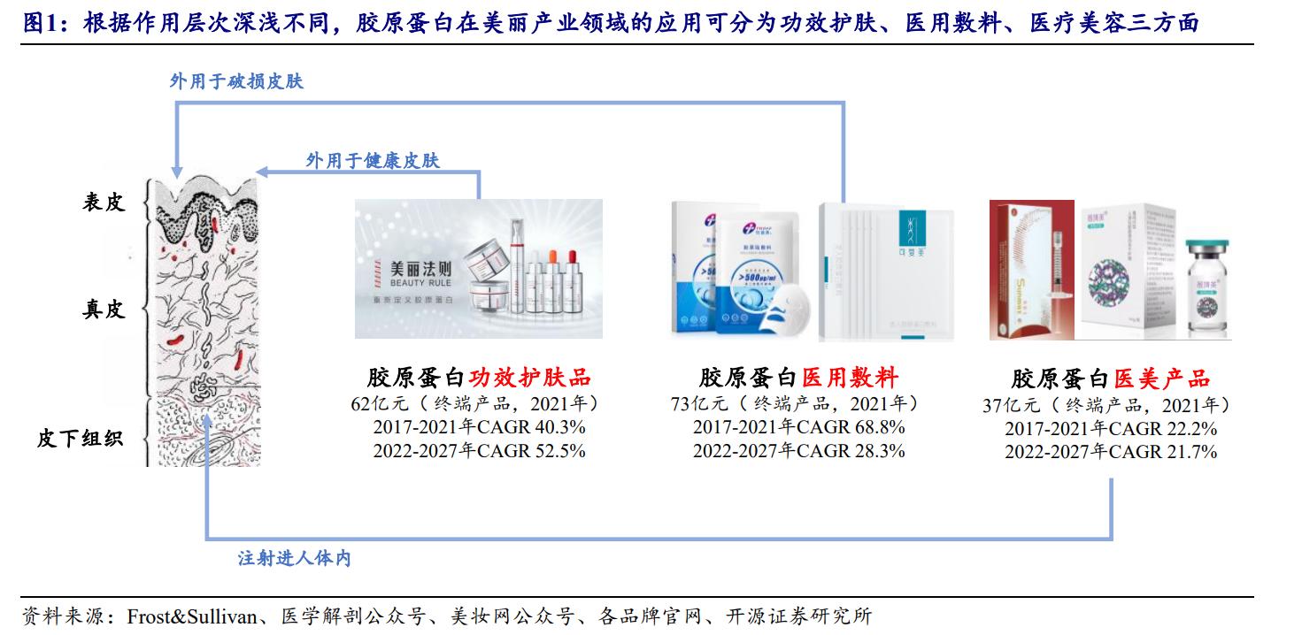 鑳跺師铔嬬櫧鍥藉唴宸蹭笂甯傜殑鍏,鑳跺師铔嬬櫧鑳藉惁鎴愪负璺ㄨ秺鍛ㄦ湡鍘熸枡