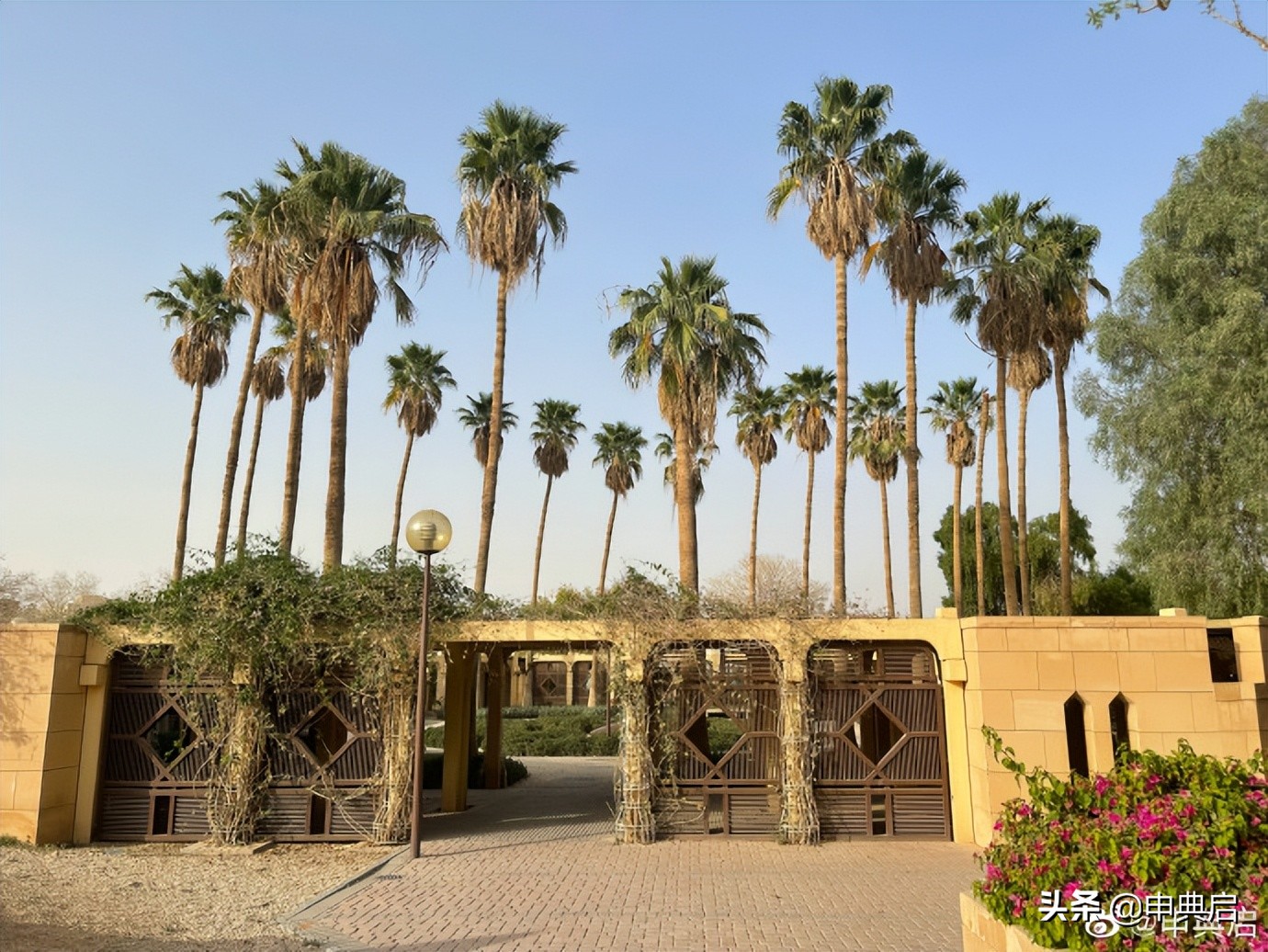 在沙特的精英白人汤姆斯，讲究到回家换三套衣服，入乡随俗也封斋