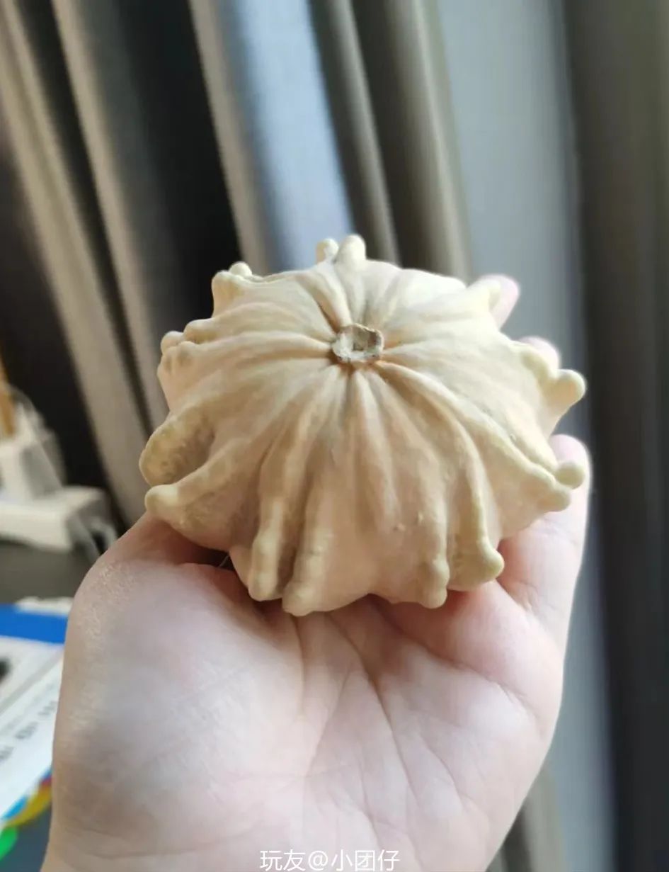 葫芦案真实案件,葫芦案事件始末