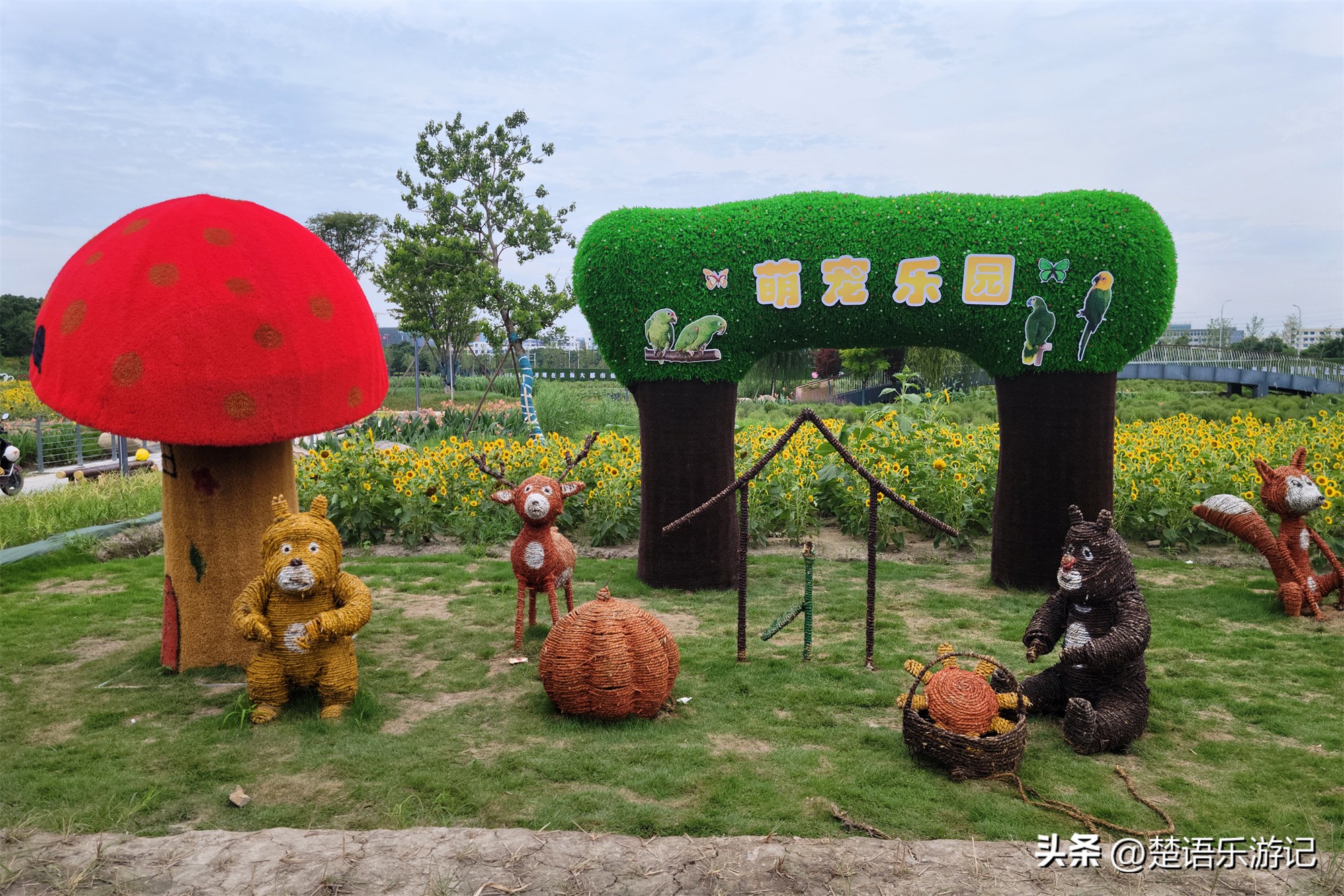 宁波附近向日葵花海在哪里,宁波向日葵花海打卡网红地