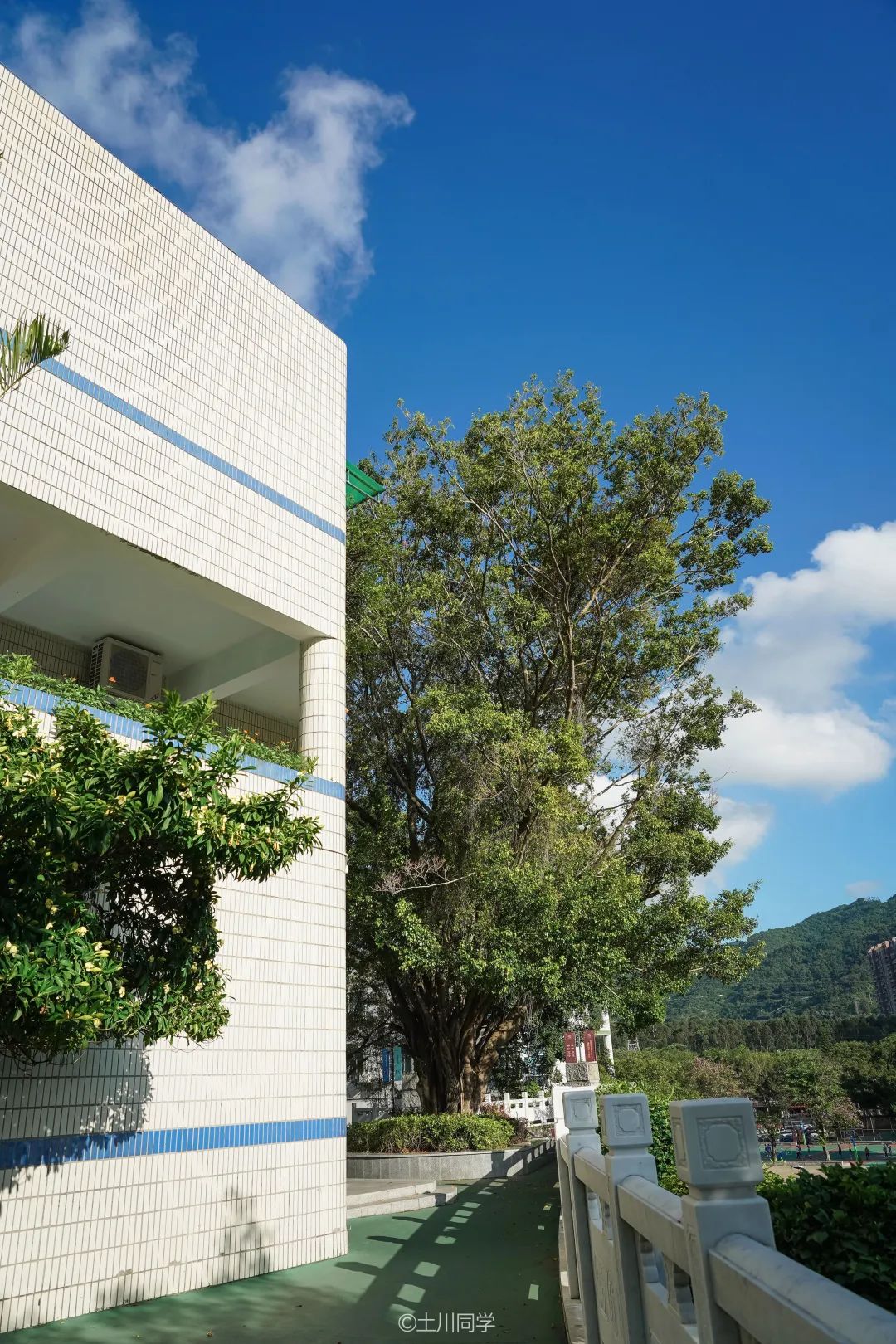 回忆石岩公学,石岩公学5年级