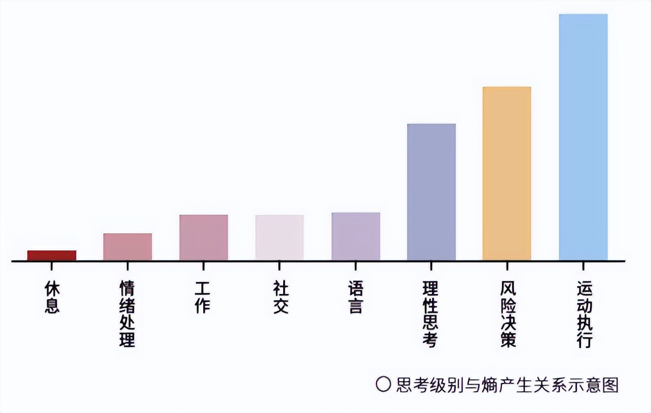 【科学原理一点通】大脑中的热力学