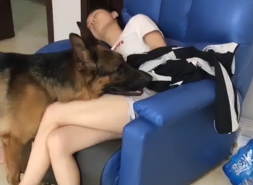 狗狗感冒了需要盖被子吗,狗晚上会睡整晚吗