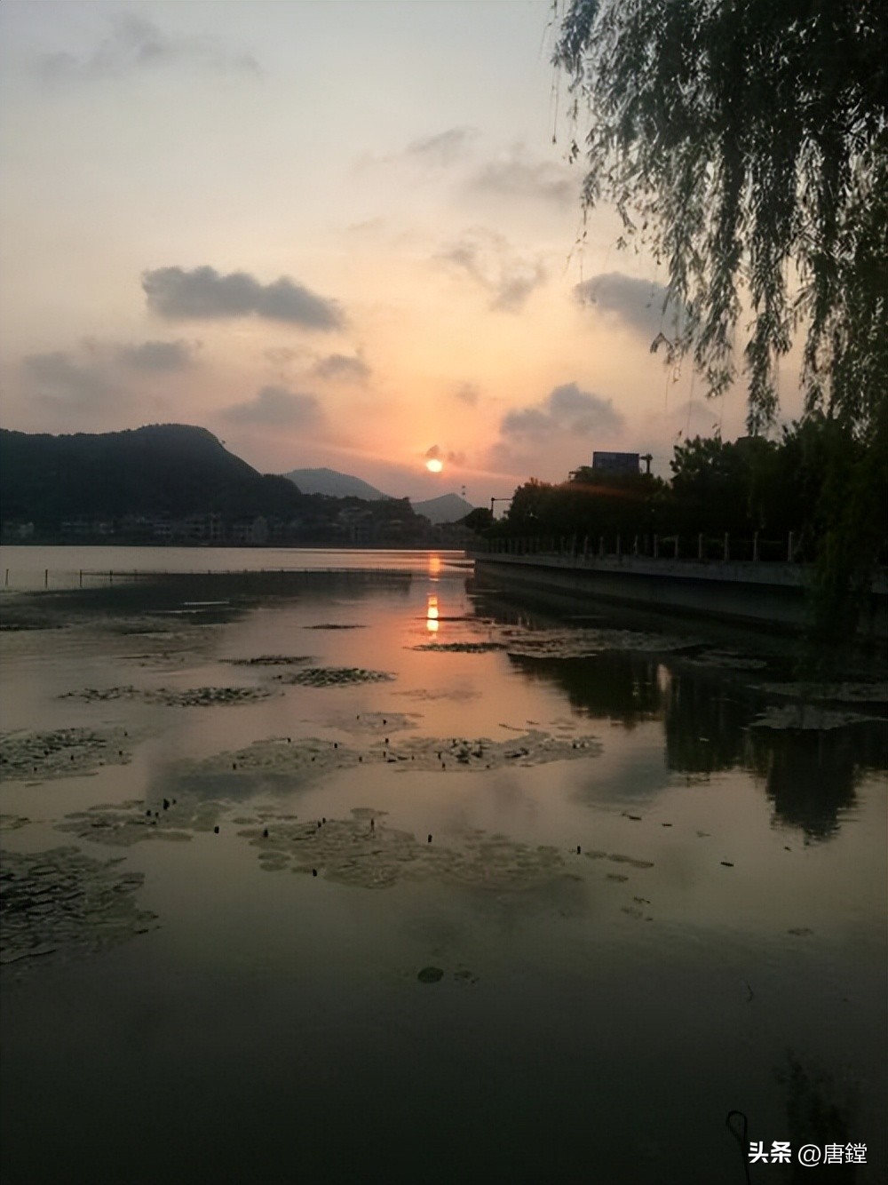 白洋湖畔,慈溪白洋湖旅游攻略