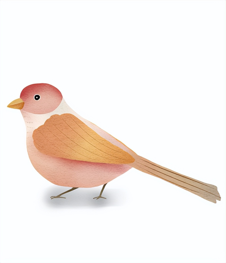 听说，你家的园林会唱歌？