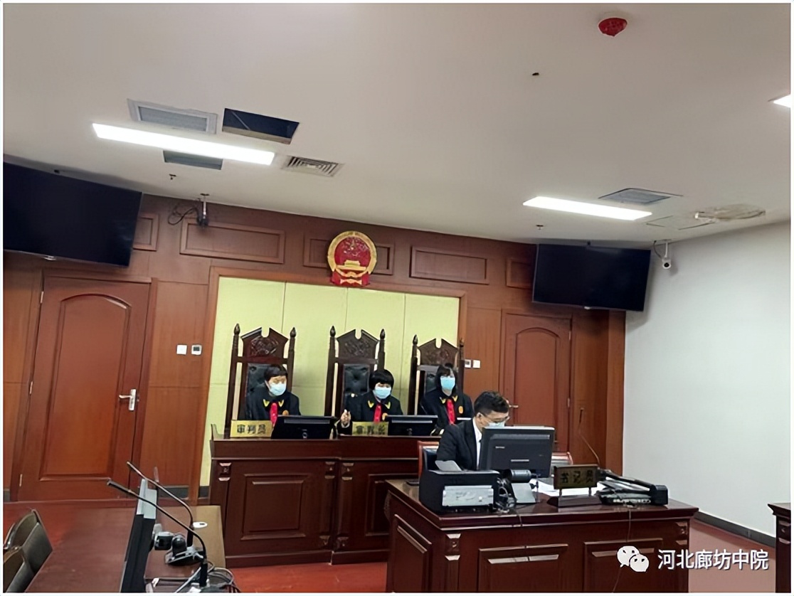 廊坊法院直播在线观看,廊坊法院诉讼服务中心