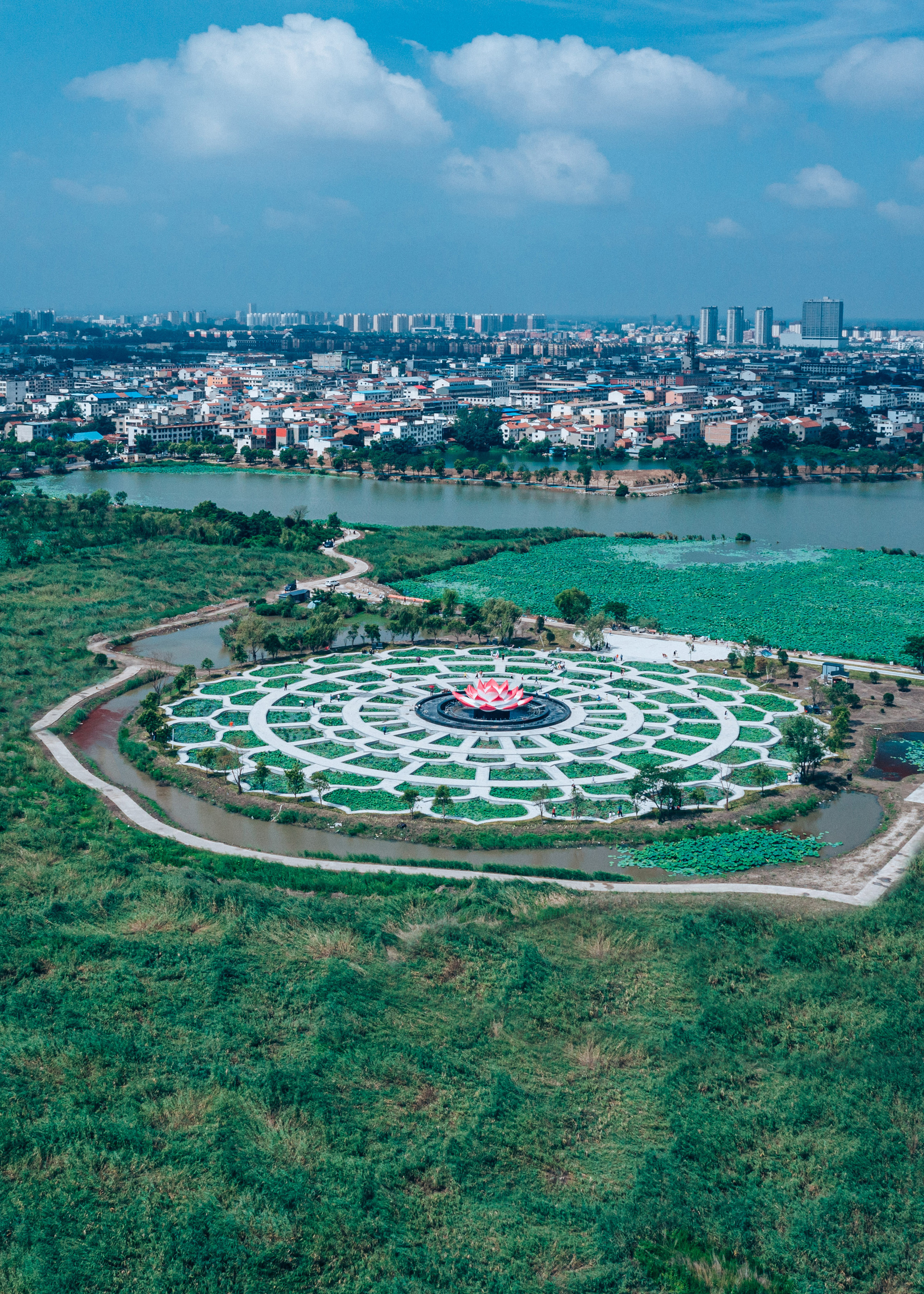 中国淮阳龙湖赏荷旅游月活动启动,淮阳龙湖湿地赏荷