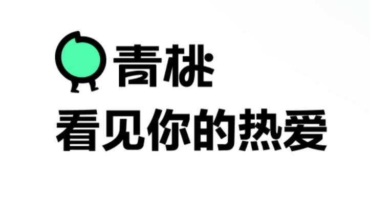对标b站的新软件,和b站齐名的app