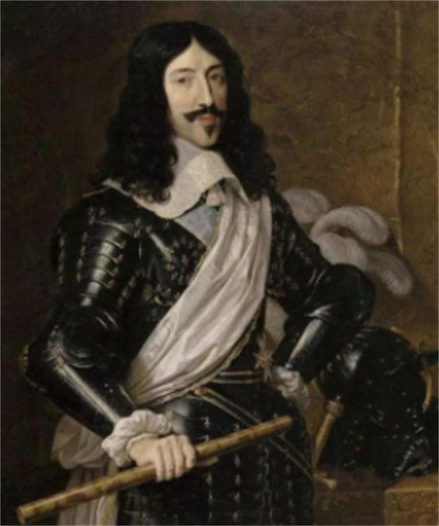 风情万种的国王*妇情**，买钻石买到国库亏空，最终丧命断头台