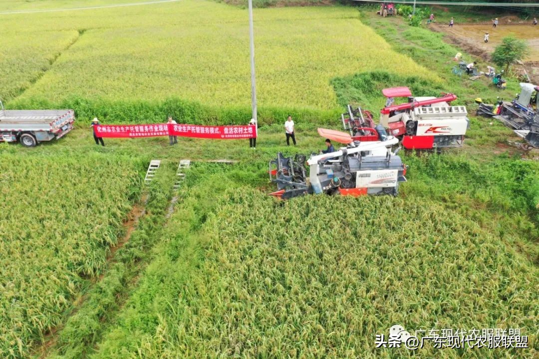 创新商业模式逆向盈利,土地入股的六种模式