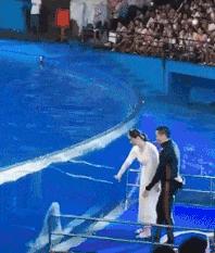 走皮皮虾！我们洗车去——我的洗车装备EDC