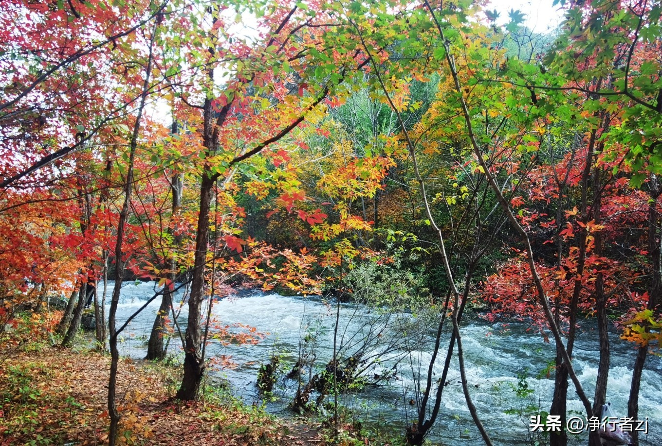 图们江口岸游记,从图们市到牡丹江自驾游