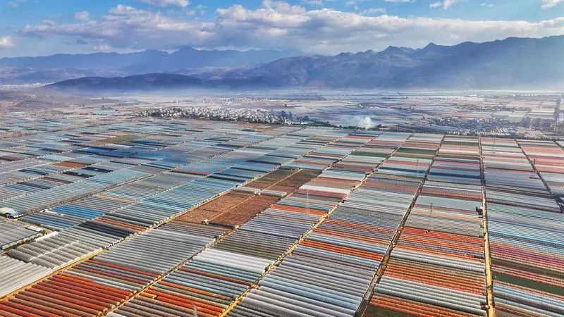 五彩云南风景,七彩云南介绍和特色