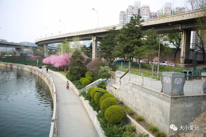 北京花海休闲公园,帝都游乐场