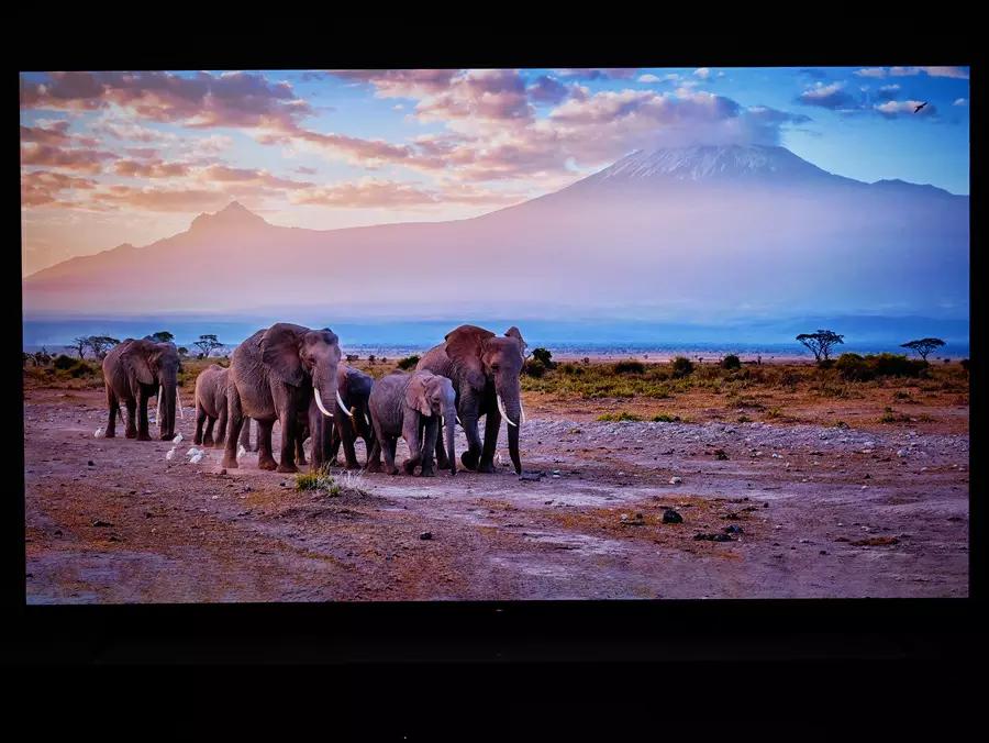 索尼oled电视77a80k测评,索尼a80ek电视测评